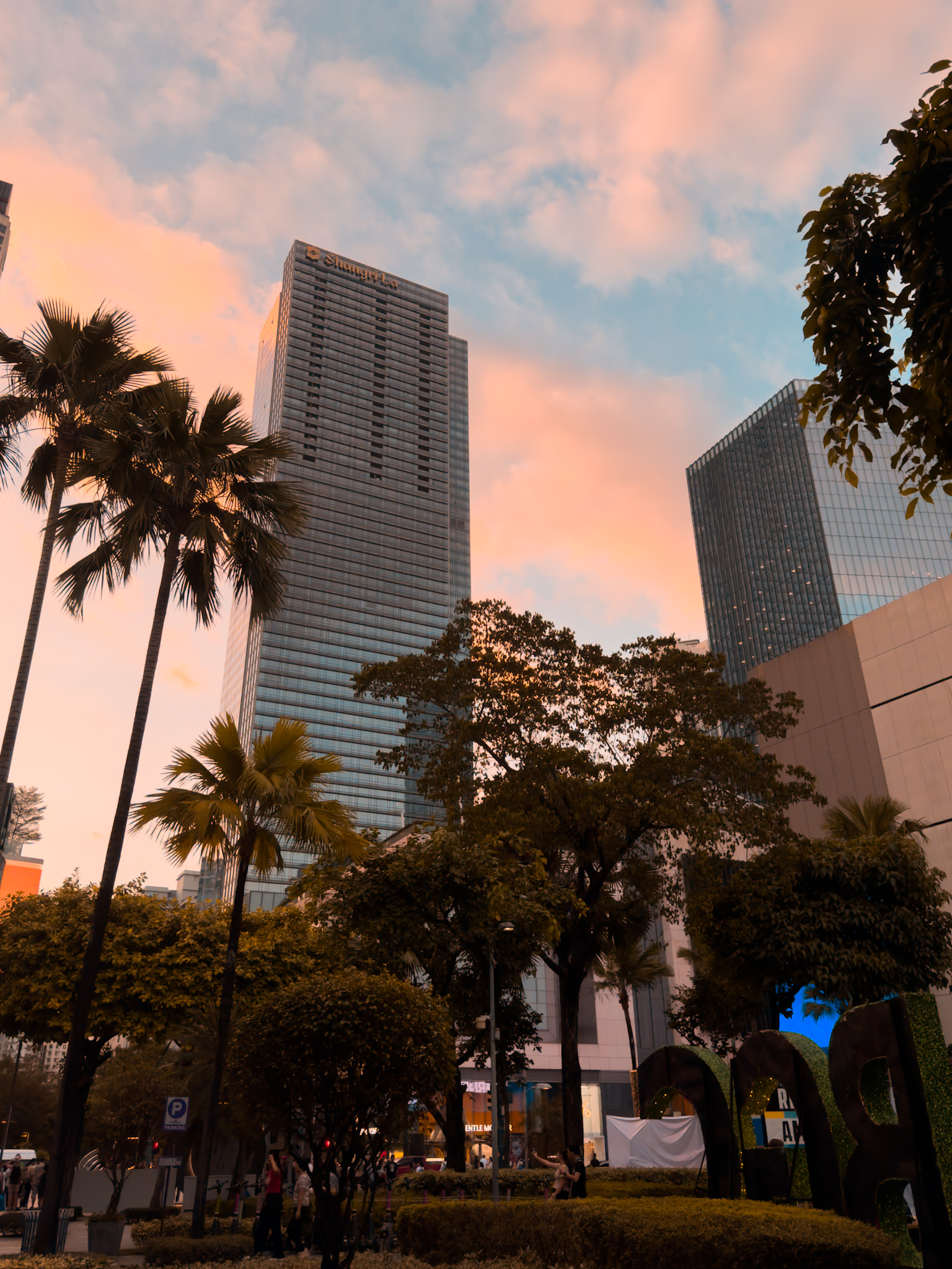 Palm trees and a skyscraper beneath a pink evening sky